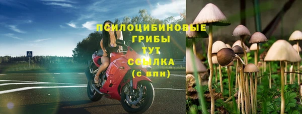ECSTASY Верея