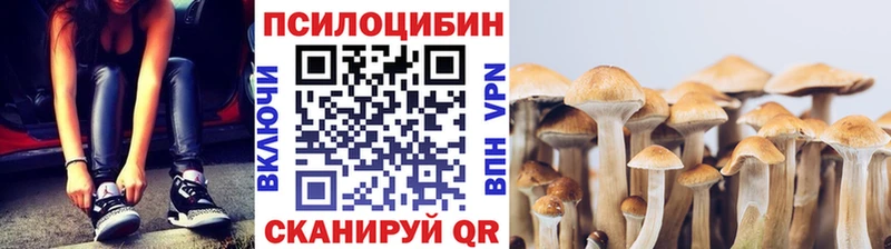 дарк нет Telegram Зеленокумск Галлюциногенные грибы мухоморы